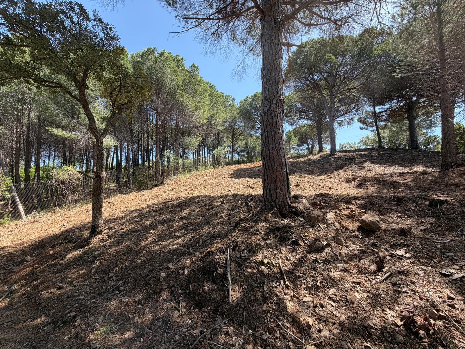 Cefalù: Ferla/Granato: terreno 9250mq