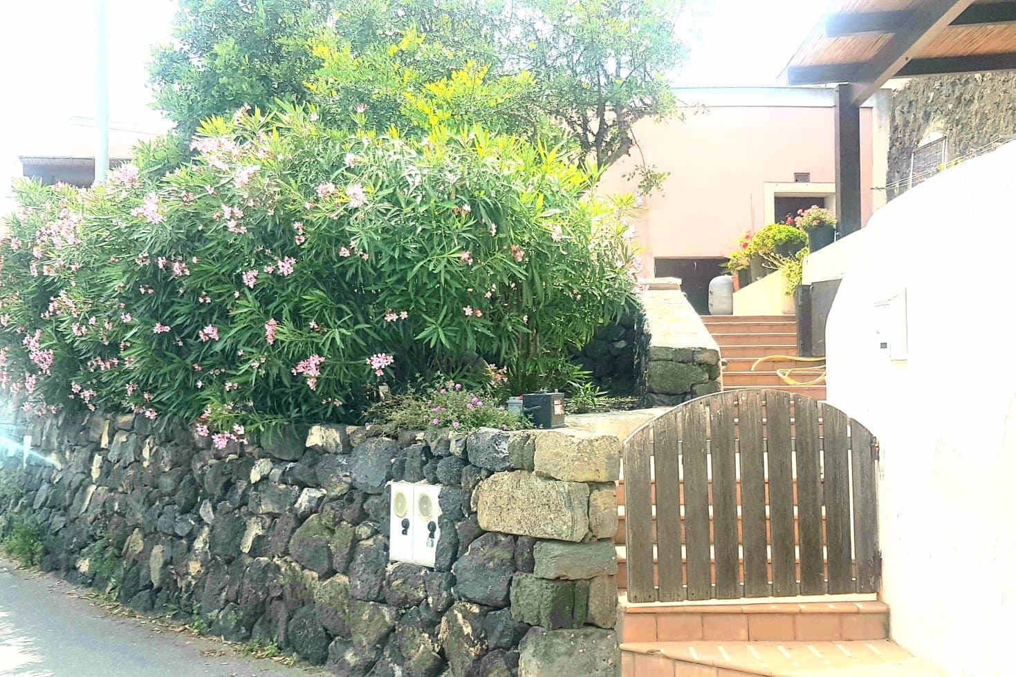 Pantelleria -  delizioso bilocale affitto settimanale